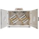 Masalles 65-I-PDS Setter