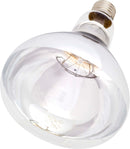 Intelec Infra-Red Hard Glass Heat Bulbs