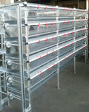 Quail Laying / Breeding Cage Unit.